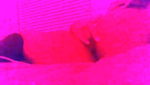 Hot ash in bed with a mouthful